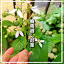 梅雨前のお手入れ作業