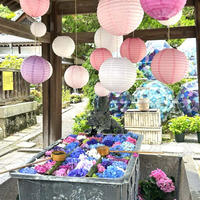 花手水発祥の地♡柳谷観音へ