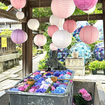 花手水発祥の地♡柳谷観音へ