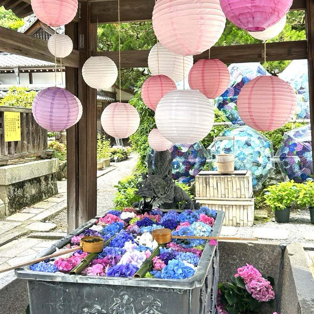 花手水発祥の地♡柳谷観音へ