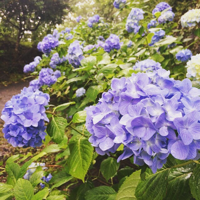 静岡でロープウェイ☆