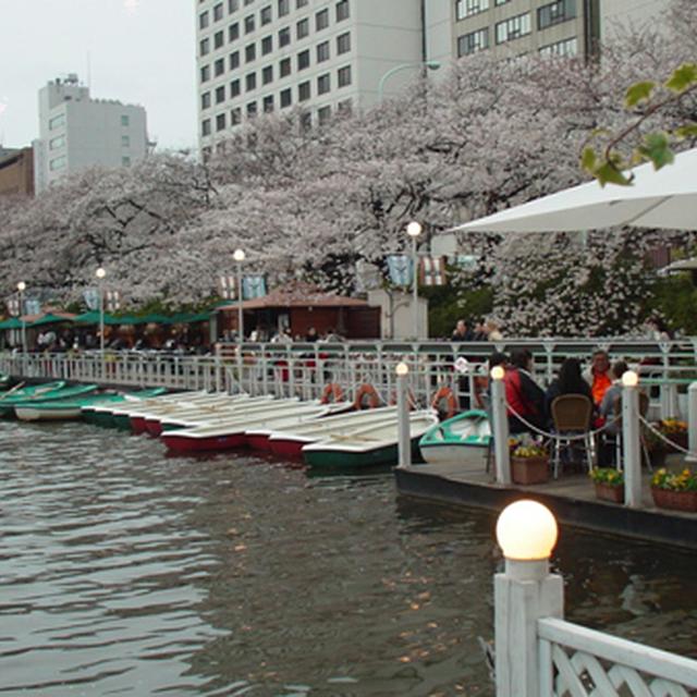 CANAL CAFEでお花見