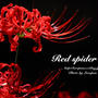 Red spider lily