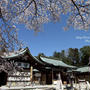 護国神社の春