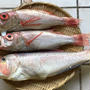 魚のお取り寄せ＿2021年1月