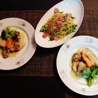 和の食材もぴったり☆鶏肉と根菜のフリカッセ♪～♪
