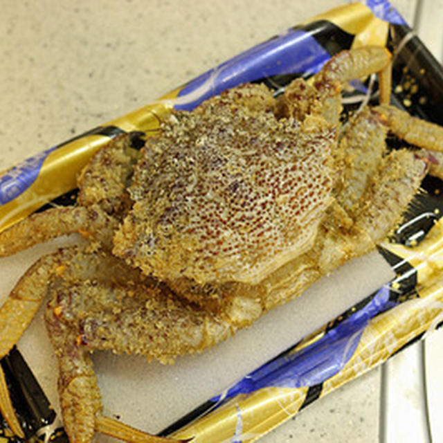 「クリガニ」と「鯵のチーズなめろう」でチョイ飲み