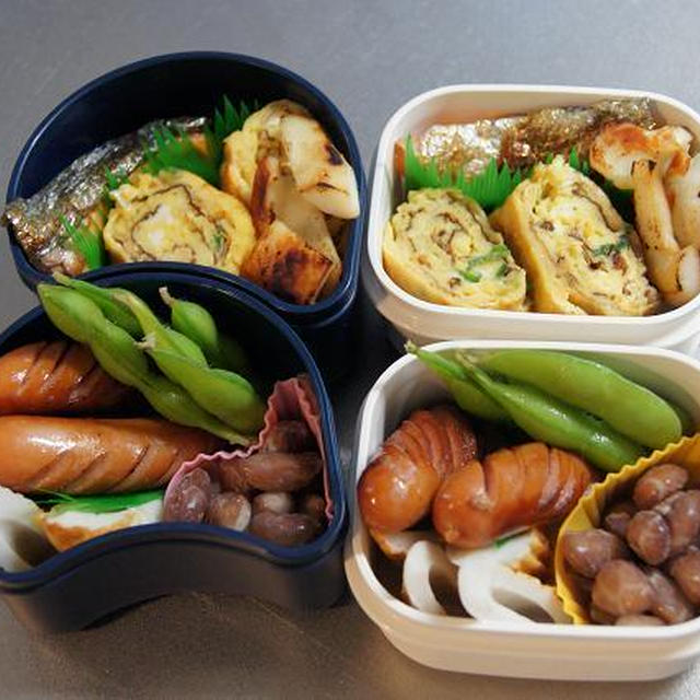 鮭弁当