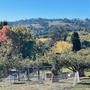 Sebastopol_Apple House_②
