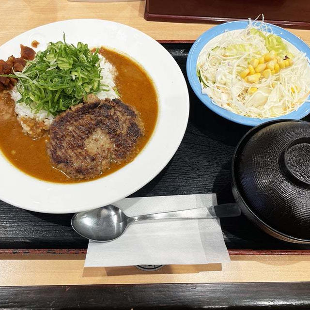 ねぎたっぷりハンバーグスパイスカレー並盛生野菜セットを食べる 〜松屋〜