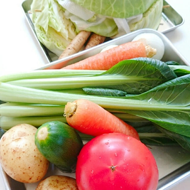 もりもり野菜を切る！「野菜の切り方レッスン」