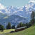 スイス 7/4-1 (Grutschalp→Winteregg)