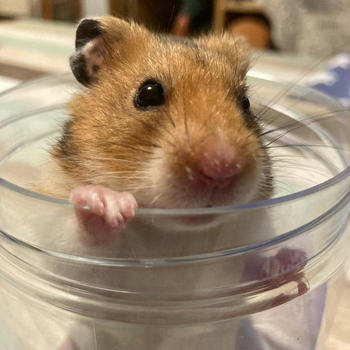 ★ウチに来てくれてありがとう★