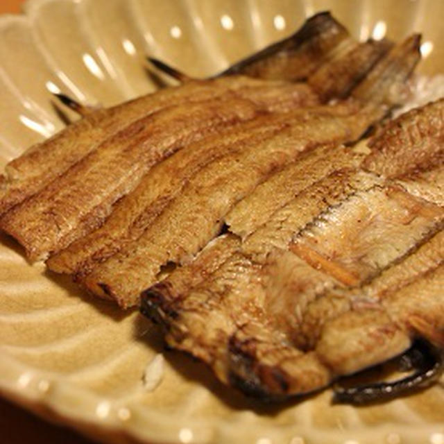 お魚三昧の週末。鰻の白焼きと、イイダコの煮付け