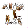 2022.2.22 22:22   ねこの日スペシャル画像