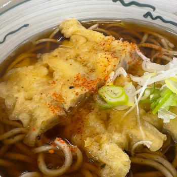 立ち蕎麦行脚「花丸そばのごぼう天そば」