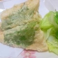 豆腐はすごい食材