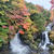 10月15日の奥日光と照葉峡　多分そろそろ見頃？