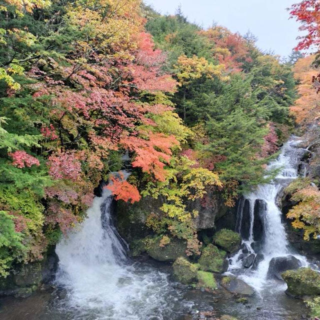 10月15日の奥日光と照葉峡　多分そろそろ見頃？