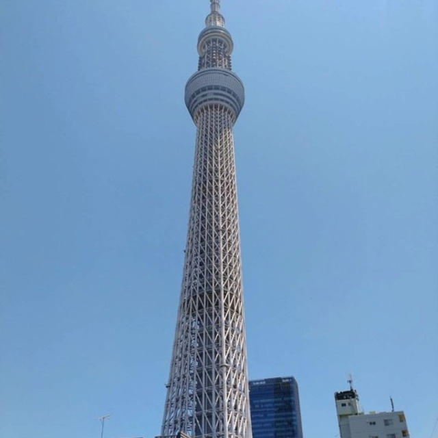 スカイツリー☆エンジョイの夫とクラクラの私