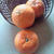 ２０１２年４月の教室の予定、春野菜！！