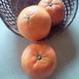 ２０１２年４月の教室の予定、春野菜！！