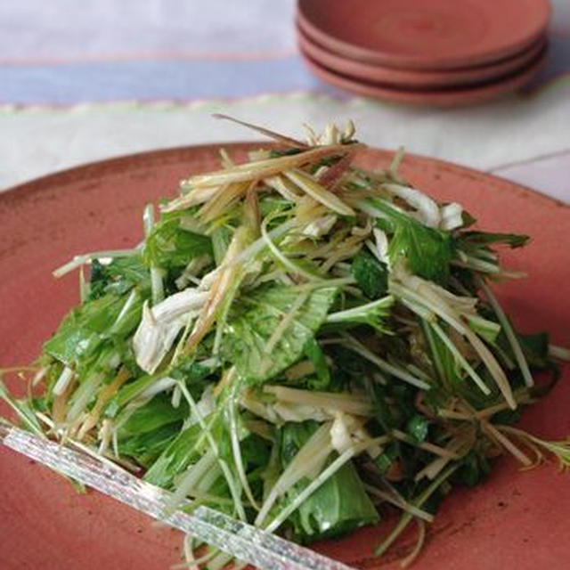 肉食女子の肉Recipe『蒸し鶏と香味野菜のサラダ』