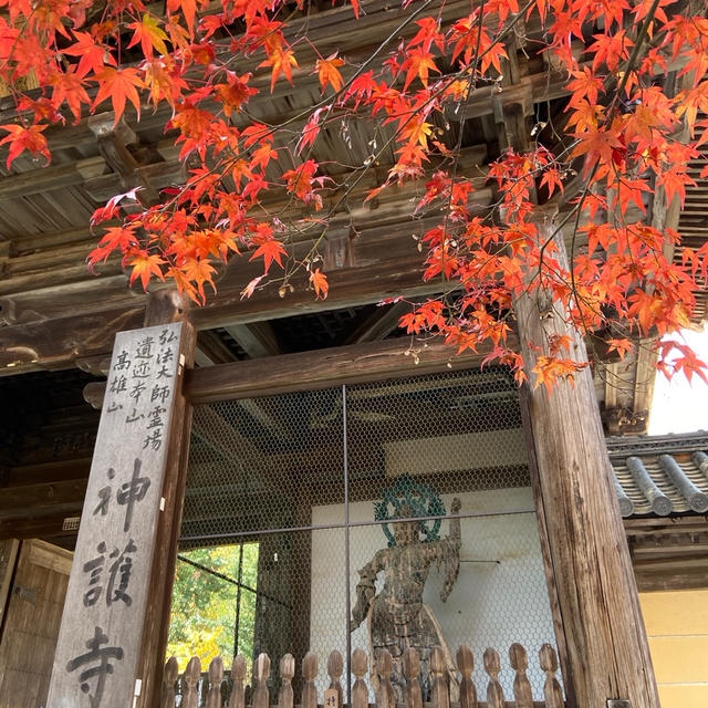 京都　高雄の神護寺の紅葉