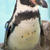 動物園の話