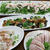 「冷菜」ばかりで晩酌