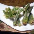 山菜天ぷらと木の芽佃煮風
