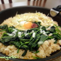 【モニター】韓国食材『炊き込みご飯でビビンバ』