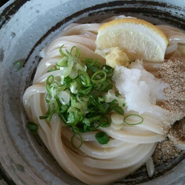 貝塚の「うつ輪」にて生醤油うどんの冷や
