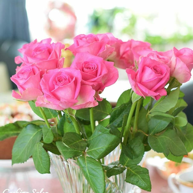 【料理教室】Pinkish Rose Club『２月レッスン休講のお知らせ』