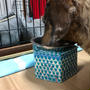 牛乳パック工作〜犬の食器台〜