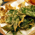 明日葉の茎を食べたことがあるか？