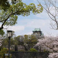 大阪城の桜#最近撮った写真は