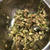 たっぷり野菜の手作り餃子でワイワイパーティーしませんか?