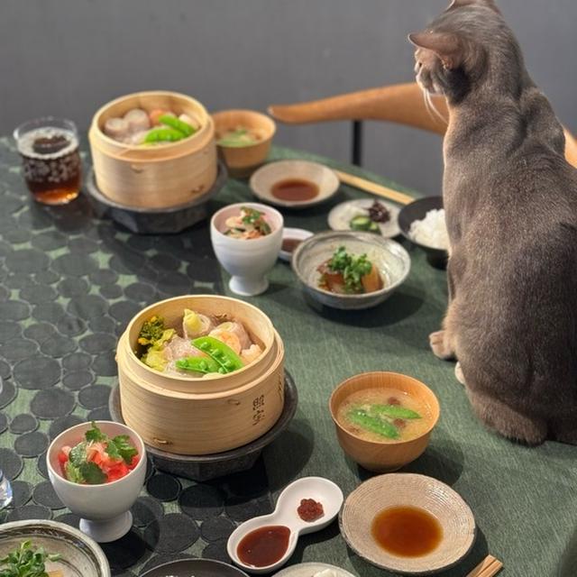 菜の花と春キャベツの豚肉ロール生春巻きの皮巻きの夜ごはん