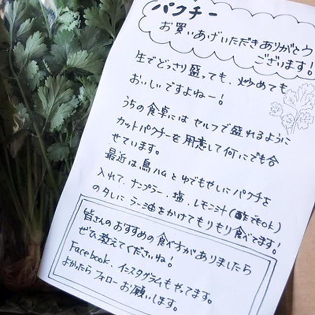 パクチー鍋／揚げ茄子のパクチリソース／パクチーサラダ