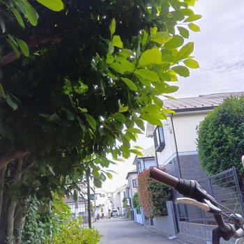 地元の声を市政へ