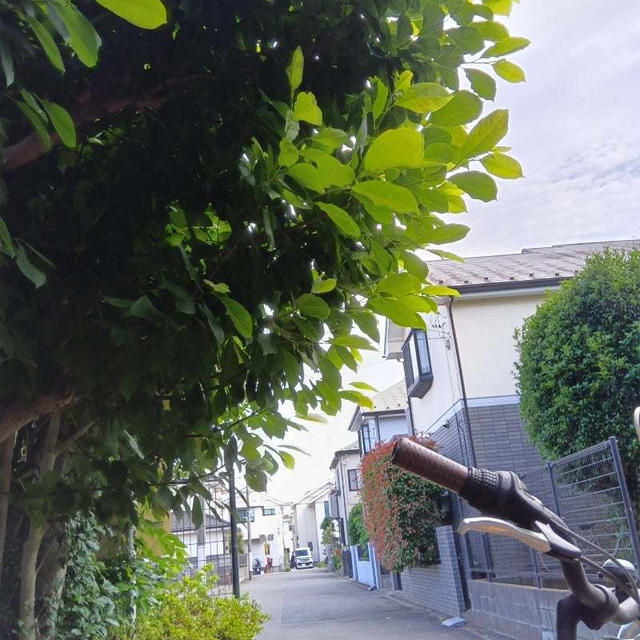地元の声を市政へ