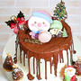 クリスマスケーキをシフォンケーキで作ってみました。