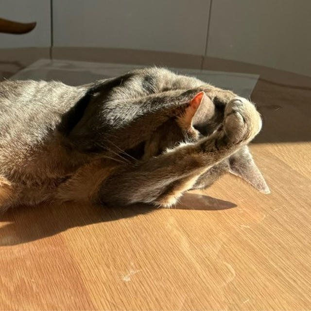 お手入れしたら、おじいちゃんになっちゃった⁇