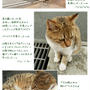 ■ カミーユ・ピサロ展 ■ そしてニャゴとドンブリと…。