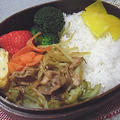 豚肉とキャベツのオイスターソース炒め弁当