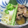 肉とナスの冷やしぶっかけうどん