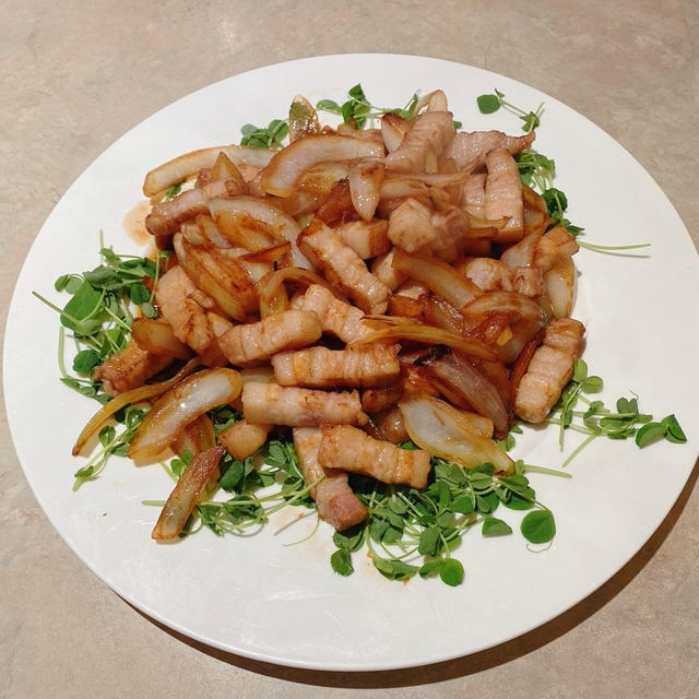 ルーローハン魯肉飯もどき.....