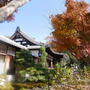 母の納骨をしてきました#ameba写真部