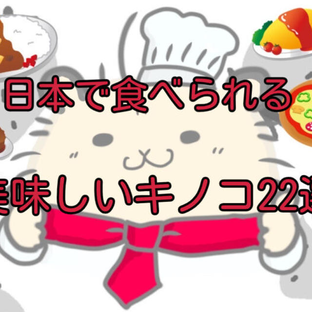 【高級＆激レア】日本で食べられる美味しいキノコ22選！いろいろなキノコを味わおう